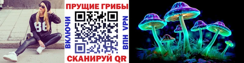 Псилоцибиновые грибы Psilocybe  Берёзовский 